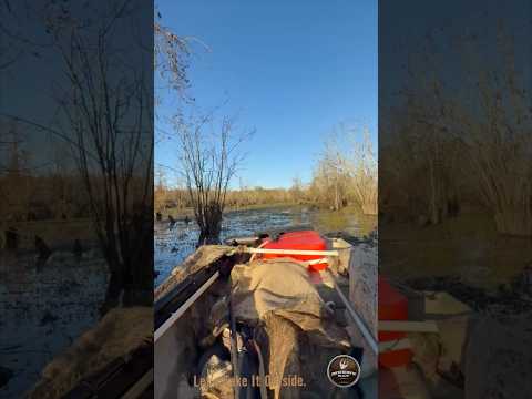 Counting blessings in the Lynches River Swamp. #LetsTakeItOutside