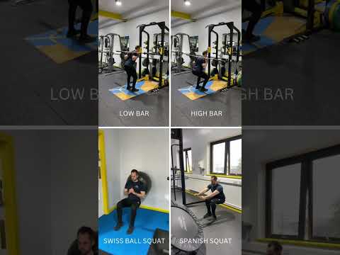 Squat Variations [Part 2] #shorts #physio #rehab