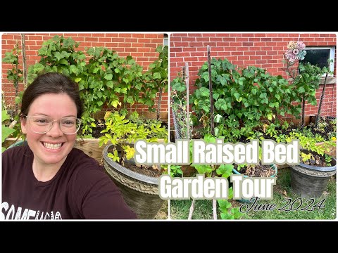 2024 Garden Tour || Small Raised Bed Garden || Grow What You Eat 🍅🫛🥔🥕🫑