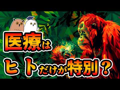 【ゆっくり解説】野生動物の知性｜人類も使う医療行為【 進化論 / 生態 】