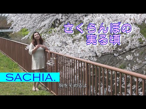 さくらんぼの実る頃　ソプラノ歌手 SACHIA. さちあ