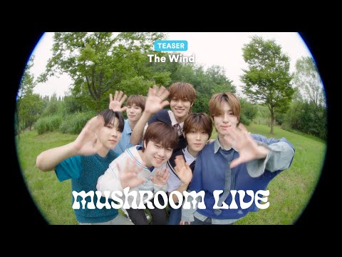 MUSHROOM LIVE SPECIAL 더윈드 The Wind TEASER