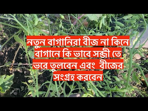 নতুন বাগানিরা বীজ না কিনে বাগানে কি ভাবে সব্জী তে  ভরে তুলবেন এবং  বীজের  সংগ্রহ করবেন