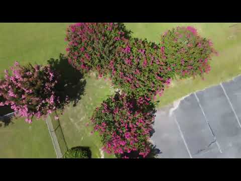 DJI Mavic Mini 2 Winter Place Park Getting ready for The County Fair