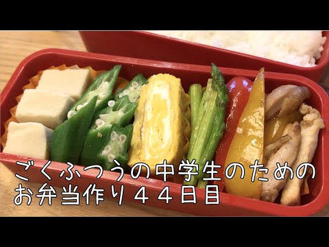 44日目♫ごく普通の中学生のためのお弁当づくり♫テスト明け！久しぶりのお弁当