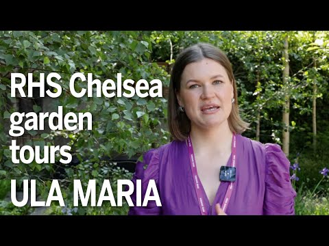 Chelsea Flower Show 2024: Ula Maria tells all about her Best in Show-winning forest bathing garden