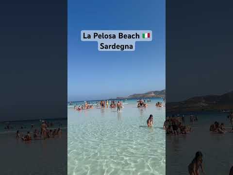 La Pelosa | Beach | Sardegna | Italy 🇮🇹#lapelosa#lapelosabescj #sardegna #italy #island