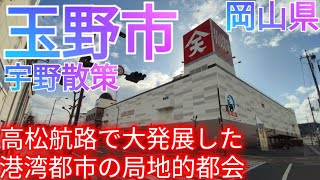 玉野市ってどんな街? 宇野-高松航路で発展した局地的都会の港湾都市！令和に残る昭和の繁栄を辿る【岡山県】(2024年)