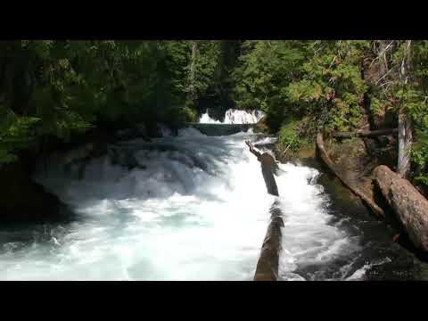 Relaxing 3 Hours of Mountain Stream | Relaxing sound for Sleep, Study or Meditation