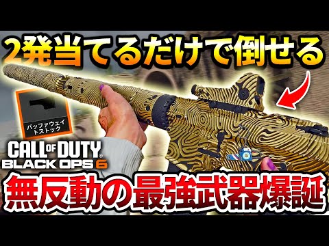 【COD:BO6】2発当てるだけで倒せる‼新ストックを付けた『DM-10』が無反動2発キル最強武器だったｗｗ【カスタム紹介】