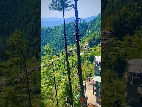 lush and green pakistan. mind relaxing mountain with some awesome buildings.#visit #like #subscribe