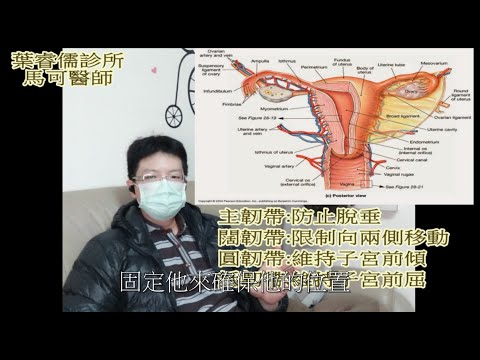 罔腰懷孕，男性(變性)也能懷孕? 真假...醫師為何直說不可能? 台灣網紅真的是醫學奇蹟啊，未來諾貝爾獎都靠他們了...