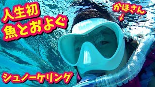 人生初 海で魚と泳ぐ🐟 初シュノーケリング😀 かほせい 春休み 南の島