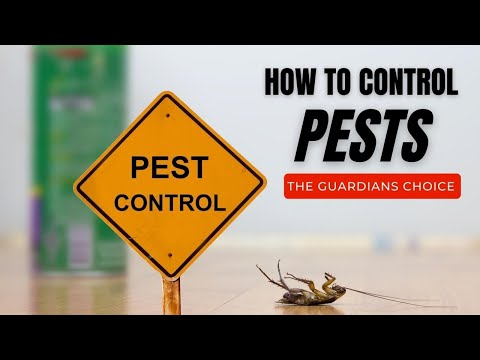 How to Control Pests | The Guardians Choice