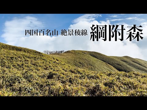 【登山】綱附森 稜線がきれいすぎた 四国にはまだ素敵なお山がありました。四国百名山