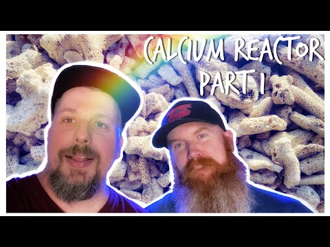 We Install a Calcium Reactor - Part 1