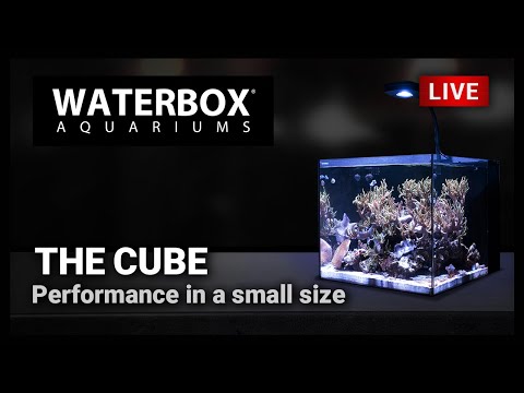 Episode 153: The Waterbox CUBE is sleek, simple, and configurable to your liking.