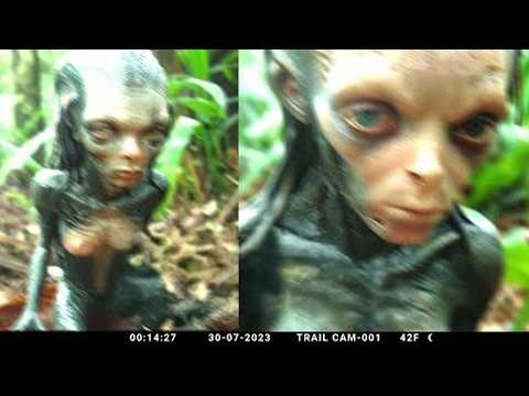 Terrifying Anomalies Caught on Trail Cameras