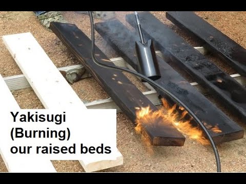 Yakisugi Method for raised bed gardens