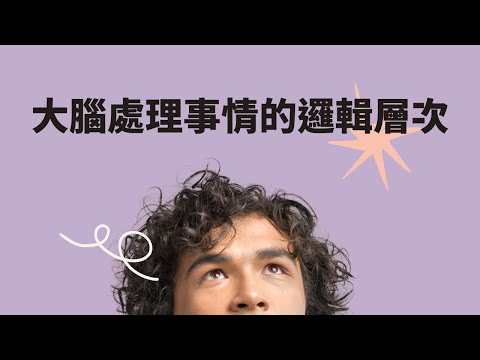 大腦處理事情的邏輯層次｜見人哥和你說說話