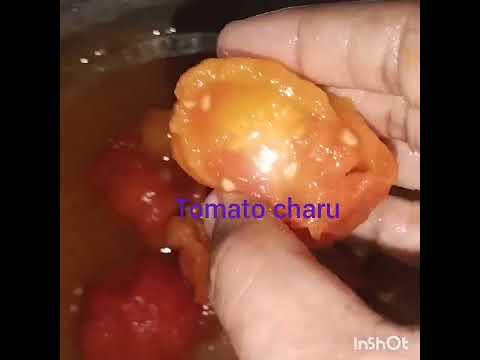 tomato 🍅🍅🍅 charu fds#enthamandiki #estamo #plzsubscribe #chennel