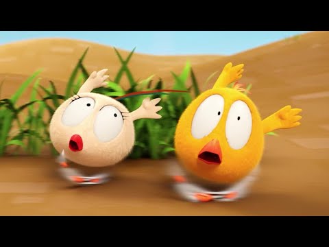 Out in the wild! | Where's Chicky? | Cartoon Collection in English for Kids | New episodes HD