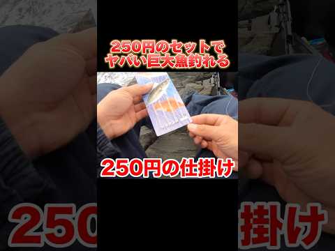 250円の簡単釣り仕掛けで巨大魚を釣り上げた#釣り#沖縄#fishing#天仁屋