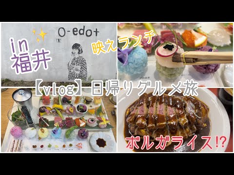 【vlog】福井で日帰りグルメ旅 | 手毬寿司 | ボルガライス | 映えランチ | カフェ