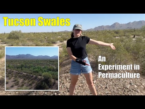 Tucson Swales - an Experiment in Permaculture