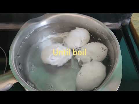 happyhourcafe: soft boiled eggs