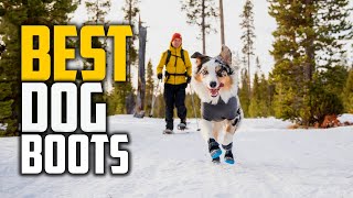 Top 5 Best Dog Boots Review in 2022 | Paw Protection for Dogs