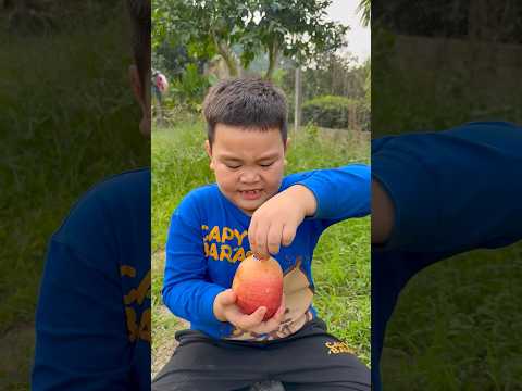 Cậu bé tốt bụng Gỡ bỏ nhãn dán Apple 🍎#camping #apple #lifehacks #outdoors