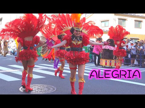 2024⛩️浅草サンバカーニバル👯‍♂️G.R.E.S. ALEGRIA🎪サーカス🤡S1リーグ🗼サンバの喜びを味わおう「ファンタスティック☆サーカス」🧨６発目⭐️４K大画面テレビジョン用広角サンバ🍝