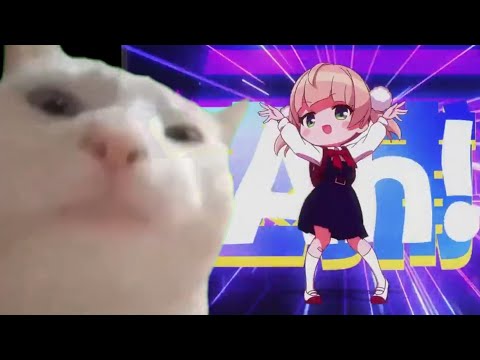 Cat vibing to Loli-God's Requiem