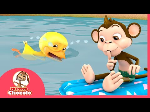 🦆 EL PATO RENATO LLORANDO DEBAJO DEL AGUA 🔆 | MI PERRO CHOCOLO 🐾 | CANCIONES INFANTILES