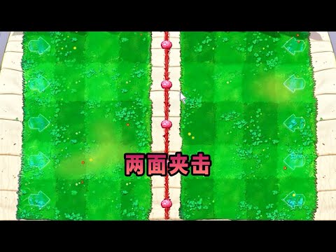 【植物大戰僵尸】兩面夾擊！