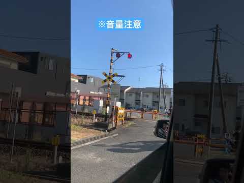 【音量注意⚠️】警笛を鳴らす桃太郎線普通列車！野殿踏切通過