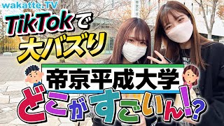 帝京平成大学バズってるけど結局どこがすごいん！？【wakatte TV】#805