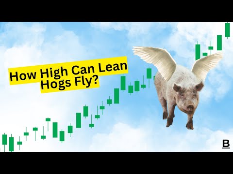 How High Can Lean Hogs Fly?