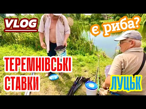 VLOG | ВІДПОЧИНОК НА ТЕРЕМНІВСЬКИХ СТАВКАХ ЛУЦЬКА! ОГЛЯД ТЕРИТОРІЇ У БУДНІЙ ДЕНЬ! ЗУСТРІЛИ РИБАКІВ!