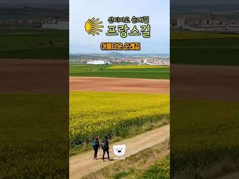 안 믿겨질 정도로 아름다운 #산티아고순례길