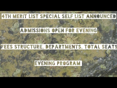 Sindh University Special Self List Announced// Admission Process For Evening Program// Fees Dept