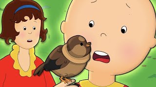 カイユと鳥 | Caillou | 子供のための漫画 | WildBrain ジャパン