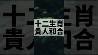 十二生肖貴人和合口訣！ #屬相#生肖#命理#傳統文化