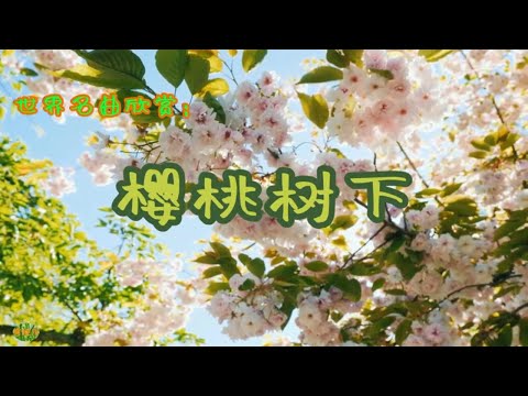 樱桃树下 - 小号。世界名曲欣赏