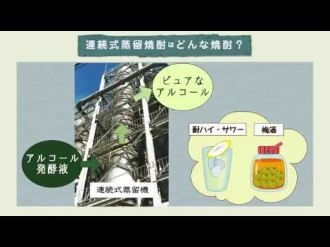 講座4　本格焼酎・泡盛の商品知識　Q9.連続式蒸留焼酎はどんな焼酎？