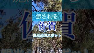 【佐賀】癒される佐賀県観光必須スポット#佐賀観光 #佐賀グルメ #佐賀県 #ハンバーガー #和菓子 #温泉 #旅行 #グルメ #観光 #ジブリ