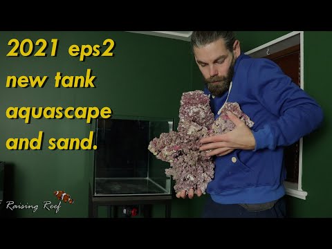 2021 ep2 setting up my tank aquascape