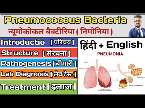 Pneumococcus Microbiology | Pneumococcus Bacteria | Pneumonia | Lobar Pneumonia | Microbiology Notes