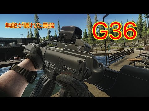 【タルコフ】無敵ライフル”G36”を握るずんだもん実況/G36 ＆ 855A1